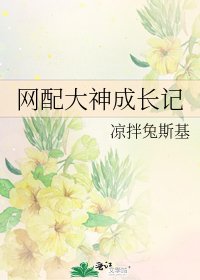 《網配大神成長記》