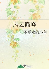 《風雲巔峰》