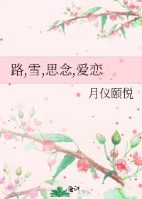 《路,雪,思念,愛戀》