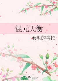 《混元天衡》