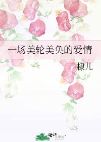 《一場美輪美奐的愛情》