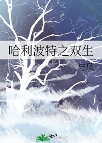 《哈利波特之雙生》