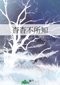 《杳杳不所知》