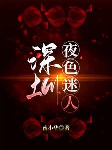 《深圳,夜色迷人》