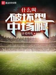 《什麼叫破壞型中場啊》