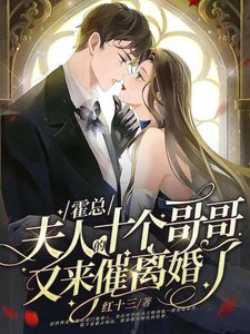 《霍總,夫人的十個哥哥又來催離婚了》