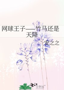 《(網王同人)網球王子——竹馬還是天降》