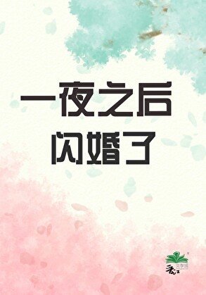 《一夜之後閃婚了》
