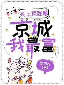 《頭上頂彈幕,京城我最富》
