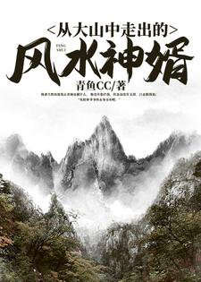 《從大山中走出的風水神婿》