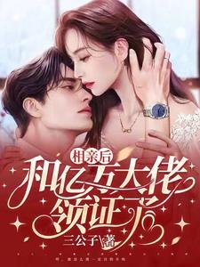《相親後,和億萬大佬領證了》