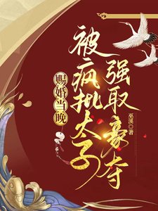 《賜婚當晚,被瘋批太子強取豪奪》