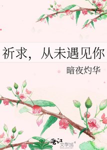 《祈求,從未遇見你》