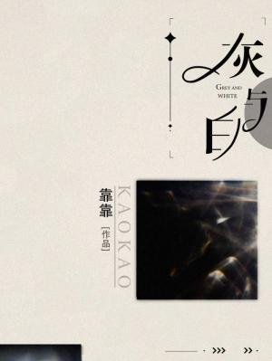 《灰與白》