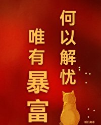《何以解憂,唯有暴富》