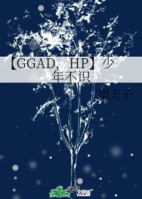 《【GGAD,HP】少年不識》