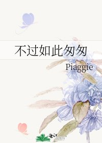 《不過如此匆匆》