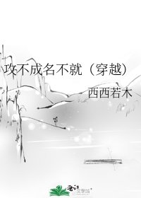 《攻不成名不就(穿越)》
