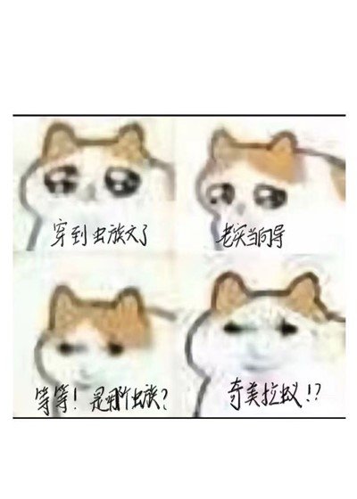 穿到蟲族文，但是奇美拉蟻版