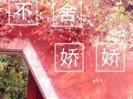 《不捨嬌嬌》