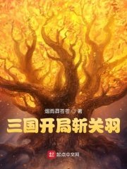 《三國開局斬關羽》