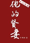 《他的賢妻》