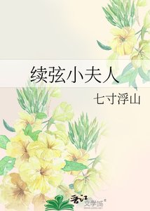《續絃小夫人》