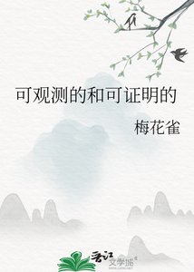 《可觀測的和可證明的》