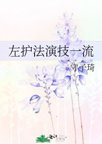 《左護法演技一流》
