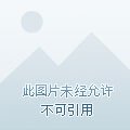 《反派女配的跟班成了Bking》
