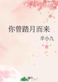 《你曾踏月而來》