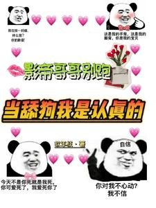 《影帝哥哥別跑,當舔狗我是認真的》