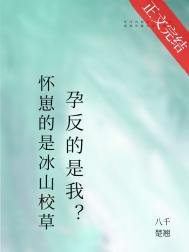 《懷崽的是清冷美人,宿敵孕反?》