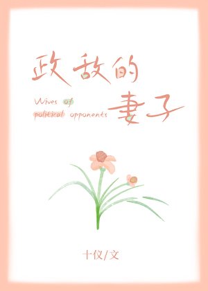 《政敵的妻子》