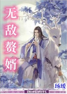 《無敵贅婿》