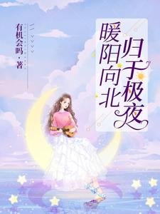 暖陽向北，歸於極夜