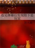 《看見彈幕後發現陛下是玩家》