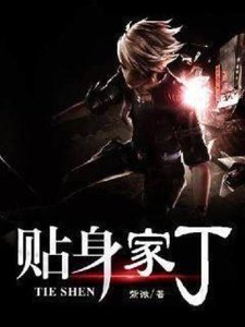 《貼身家丁》