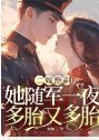 《二嫁絕嗣?她隨軍一夜多胎又多胎》