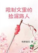 《限制文裡的撿漏路人》