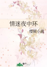《情迷夜中環》