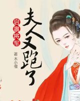 《市長夫人又跑了》