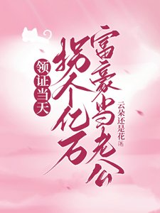 《領證當天拐個億萬富豪當老公》