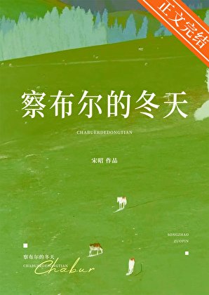 《察布林的冬天》