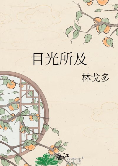 《目光所及》