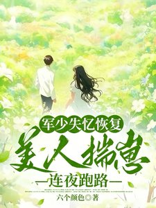 《軍少失憶恢復,美人揣崽連夜跑路/六零藏區遇前任,失憶首長爭又搶》