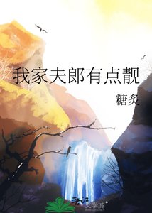 《我家夫郎有點靚》