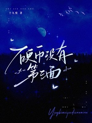 《硬幣沒有第三面》