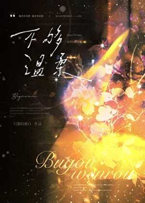 《不夠溫柔》