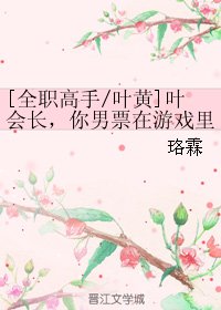 《(BL/全職高手同人)葉會長,你男票在遊戲裡被一葉之秋那個不要臉的男人拐走啦!!》